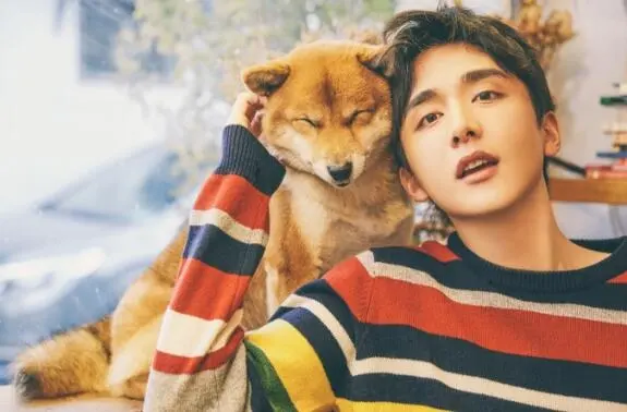 张新成为什么叫本哥-张新成本哥是什么梗什么意思外号由来介绍