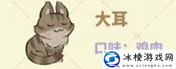 猫咪喜好大全：攻略教你应对难题