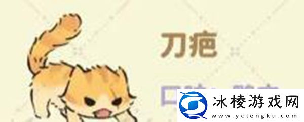 猫咪喜好大全：攻略教你应对难题