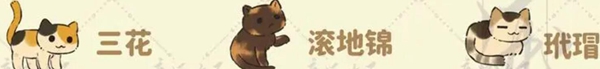猫咪喜好大全：攻略教你应对难题