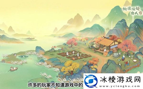 猫咪喜好大全：攻略教你应对难题