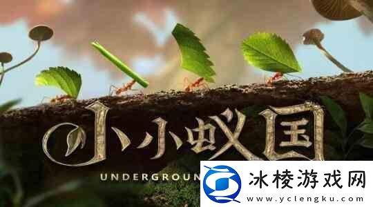 小小蚁国阵容如何搭配