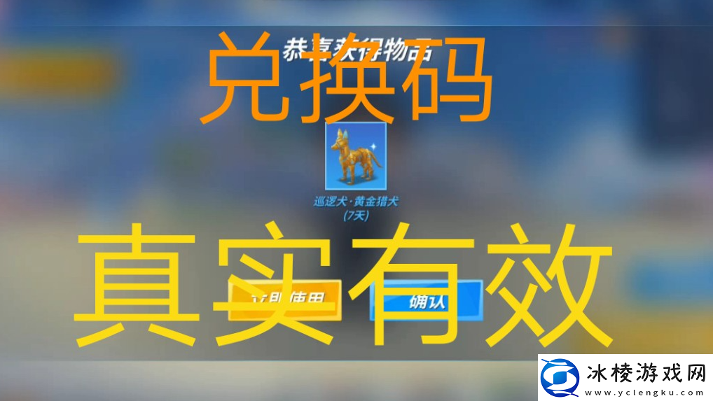 棋兵传说通用礼包码：规避常见错误的方法