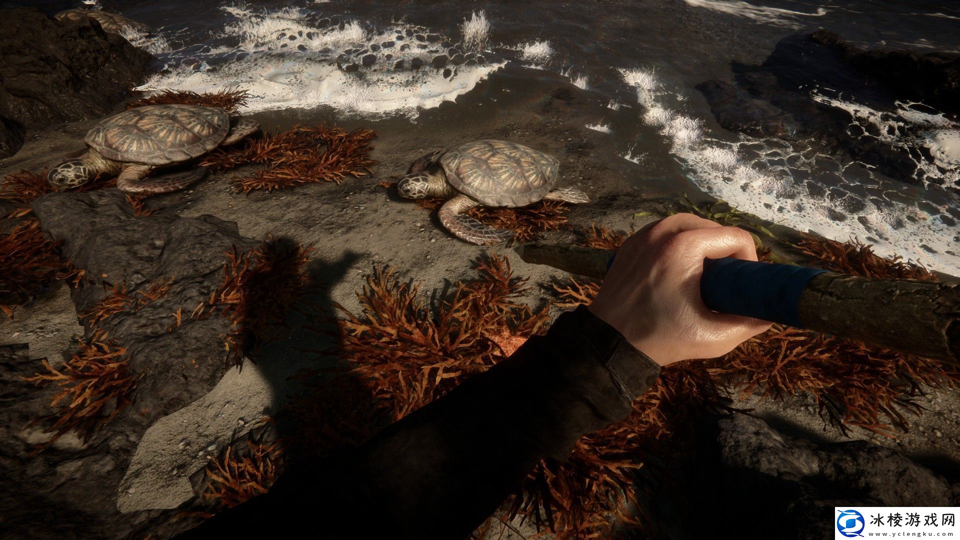 1.0版本控制台代码大全