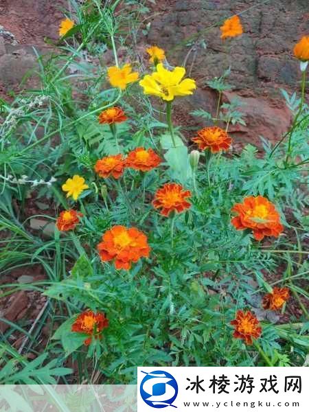 滋味1V2商洛笔趣阁：1.-滋味人生：商洛的美食与风情