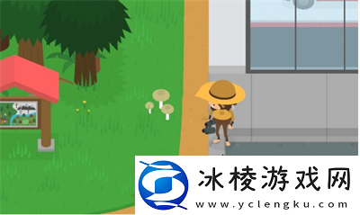 蘑菇采集位置介绍：游戏设置优化全攻略
