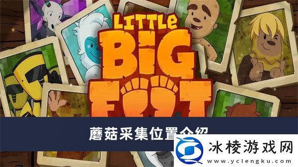 蘑菇采集位置介绍：游戏设置优化全攻略