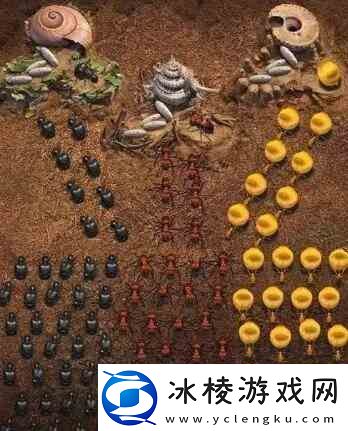 小小蚁国阵容如何搭配