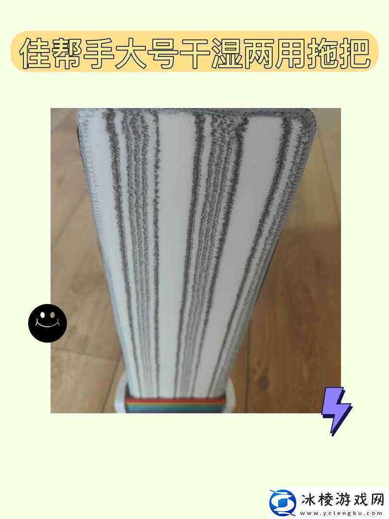 干湿你：探索奇妙的干湿世界