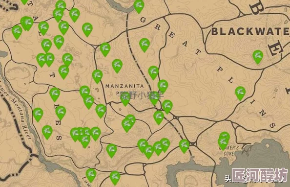 40岁阿姨荒野大镖客2：一位中年女性在游戏世界中的冒险与成长展现了她对生活的热爱与挑战精神