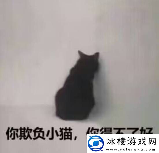 人生就是去大学城看看人