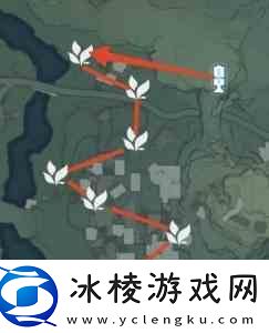 鸣潮金阳凤收集路线图一览