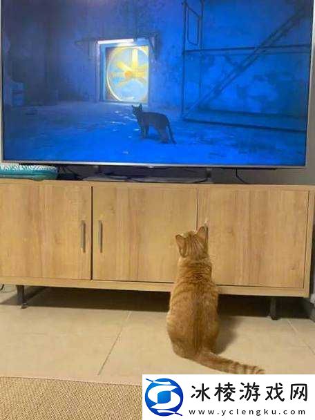 丰年经继拇中文-2-功能介绍：探索精彩电影世界