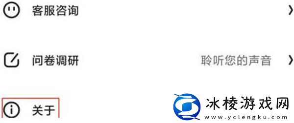 怎么查看版本号：角色技能搭配指南