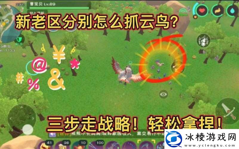 创造与魔法中多种巧妙方法助你成功捕捉各类珍稀鸟类