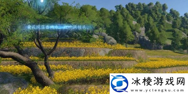 逆水寒手游磁州词话油菜花田任务怎么完成