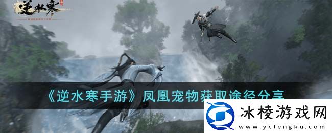 凤凰宠物获取途径分享：稀有材料收集地点