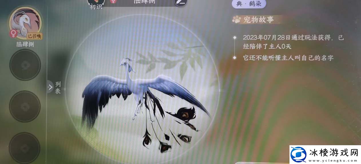 凤凰宠物获取途径分享：稀有材料收集地点