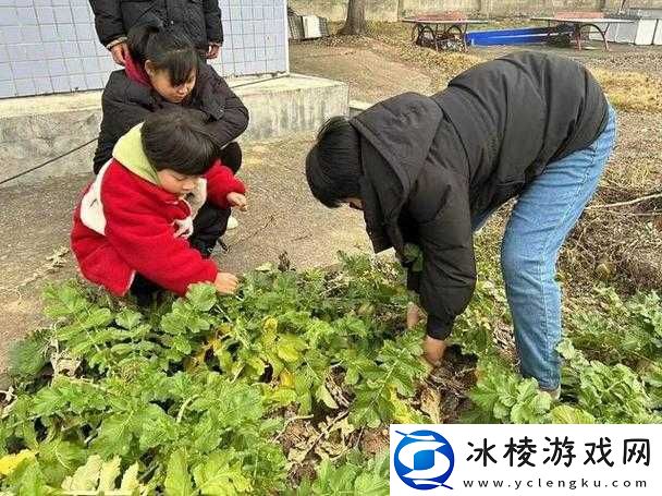 光腿拔萝卜：乡村田园里的别样劳作
