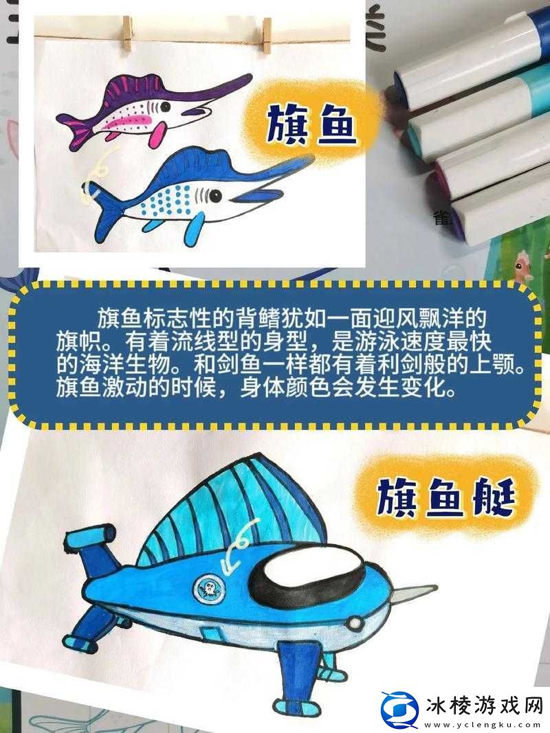 开心剑鱼之旅：水族箱中的使用心得分享