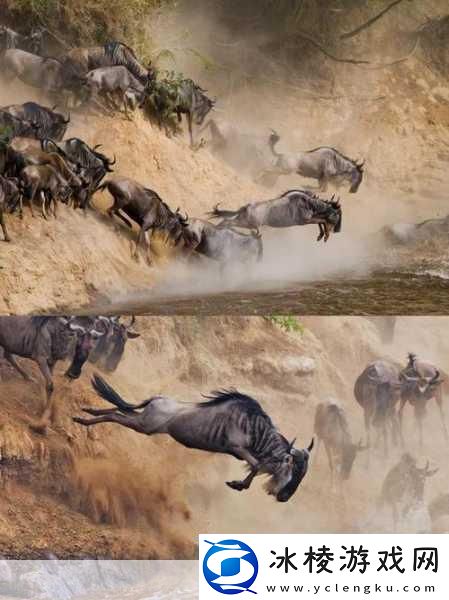 非洲BBOOMBBOOM的含义1.非洲BBOOMBBOOM