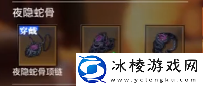 赏金猎人毕业装备搭配方法介绍：高效刷副本技巧详解