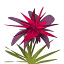 香溢烤肉面条获取方法作用一览：游戏内环境互动与战斗优势