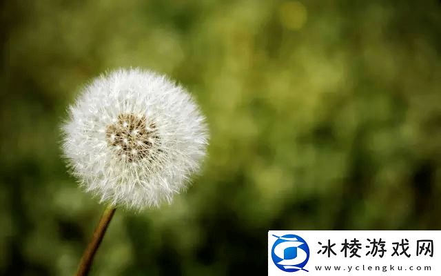 从运动场到生活中的转变体育生在塑造健康生活理念中面临的挑战和对抗猛男的心理压力的探讨