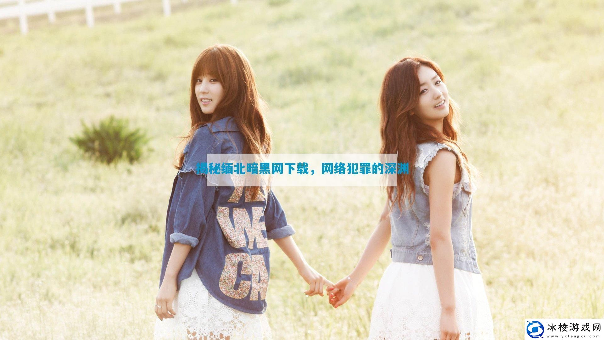 揭秘缅北暗黑网下载网络犯罪的深渊