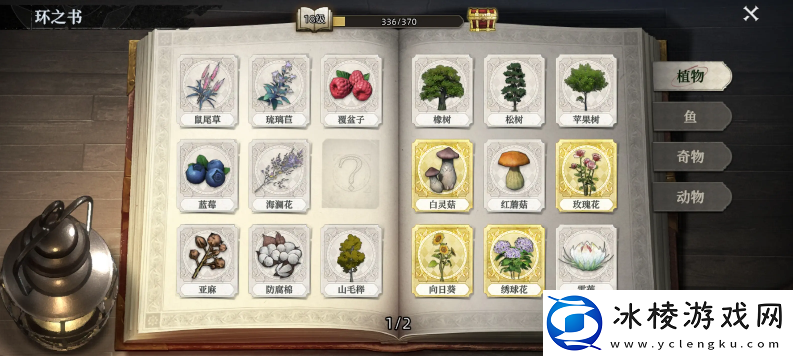 荒原曙光完美种植方法总汇-盆栽篇