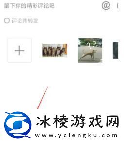 评论怎么发图片：战斗节奏与时机把握
