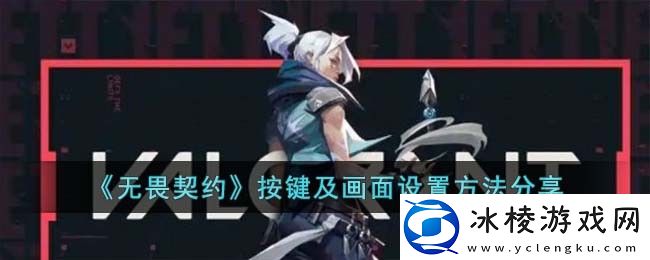 按键及画面设置方法分享：宠物成长与进化路线优化