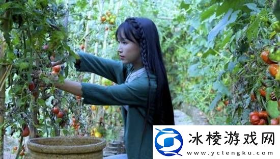 微念称与李子柒的案件已完全和解-目前李子柒品牌产品都由微念经营