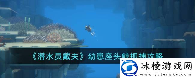 幼崽座头鲸抓捕攻略：战斗中如何合理使用技能？