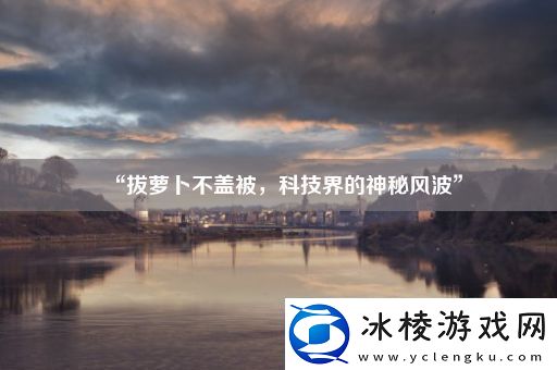 “拔萝卜不盖被-科技界的神秘风波”