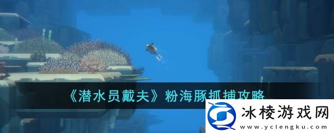 粉海豚抓捕攻略：活动参与技巧与积分最大化