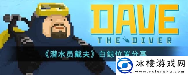 白鲸位置分享：宠物进化路线规划与培养