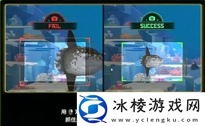 拍照方法介绍:活动参与与奖励攻略