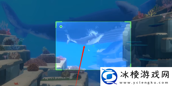 幼崽座头鲸抓捕攻略：战斗中如何合理使用技能？