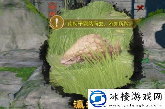 剑网3瀛洲梦宠物奇遇怎么做