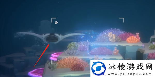 鬼蝠鳐抓捕攻略：PVE与PVP模式的差异与应对策略