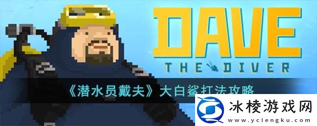 大白鲨打法攻略：游戏内元素反应机制