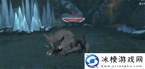 沧州野外强敌坐标汇总：攻略助你掌握要领