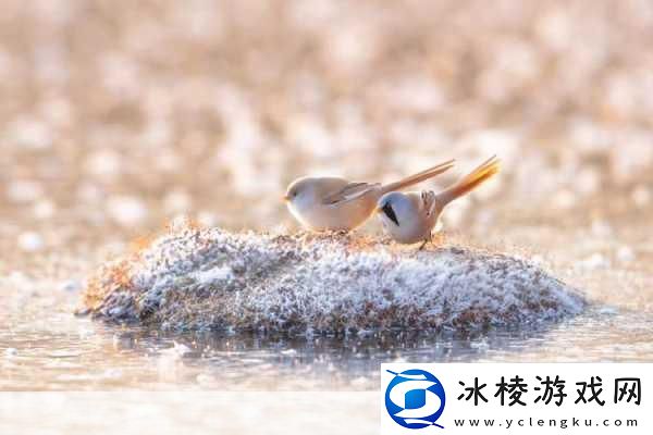 黑料独家爆料曝光揭秘1.黑料独家揭秘