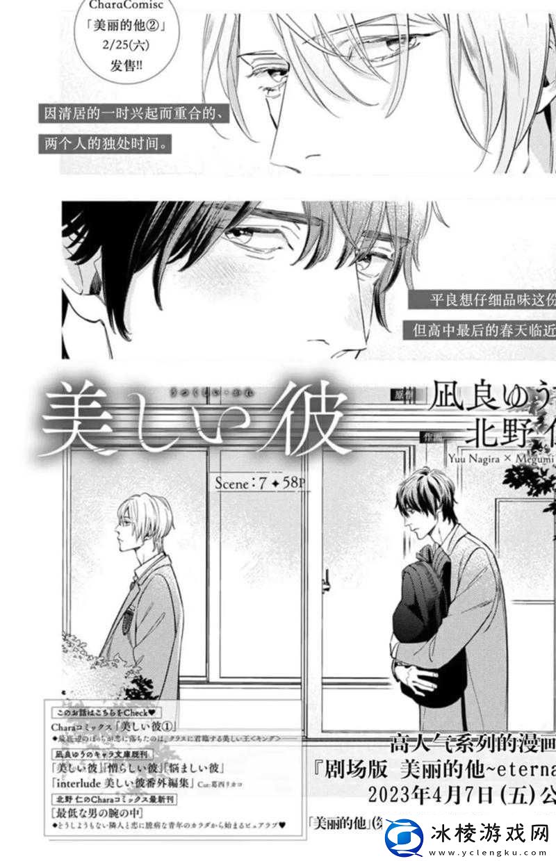 美丽的领居：温馨的故事