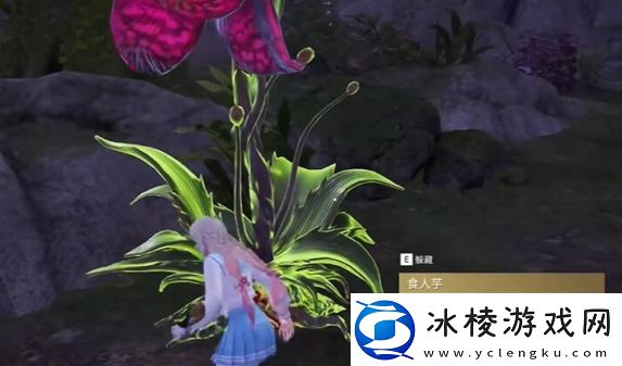 永劫无间龙隐洞天食人芋位置分享