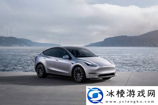 特斯拉Model-Y突然降价一万！车主维权：退我一万块