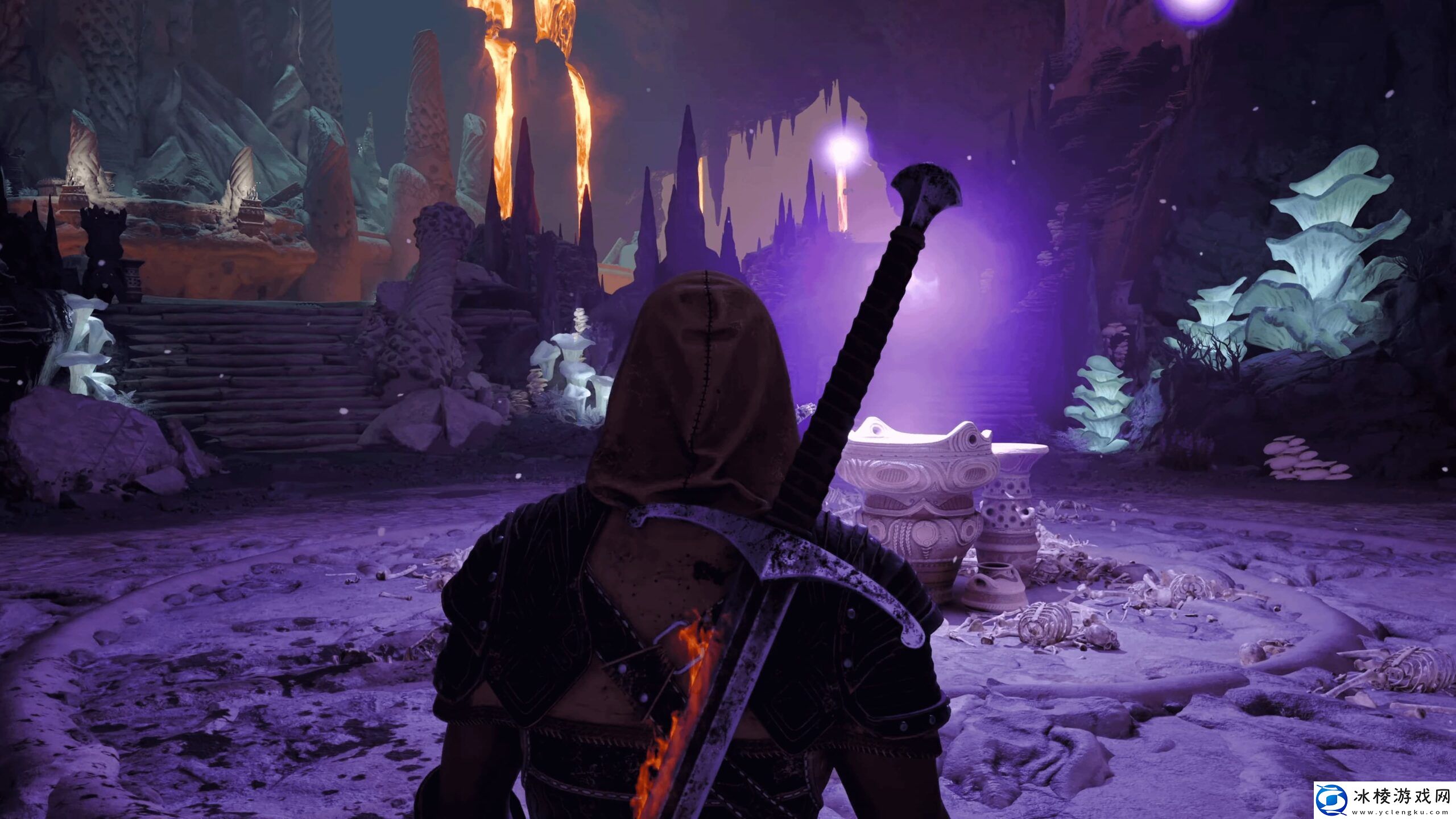 宣誓总监不担心夹在刺客信条