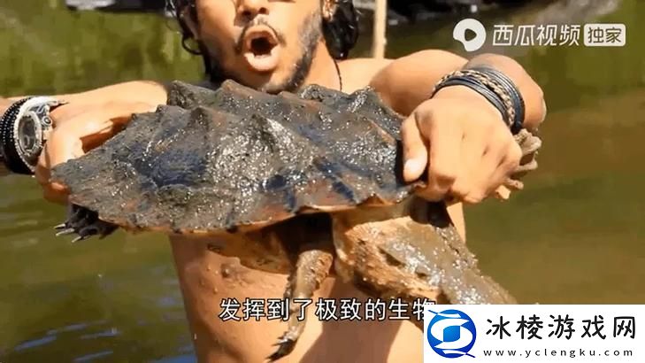 美国人与动物胶配方大全-友：掌握美味秘籍-提升烹饪风格！