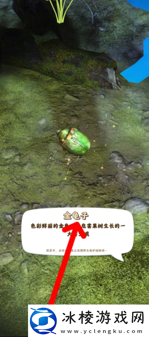 【道具合成】夺笋高手怎么抓虫夺笋高手如何抓捕昆虫金龟子